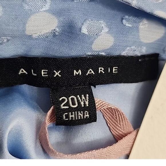 NWT Alex Marie Polka Dot Dress Women's Plus Size 20W Blue White Chiffon Wedding - Picture 9 of 12